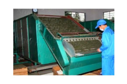 testing leaf continuous dryer